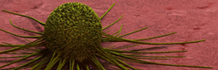 Antineoplastiske og immunmodulerende midler