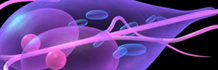 Parasitologi